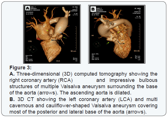Click here to view Large Figure 3
