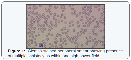 Click here to view Large Figure 1