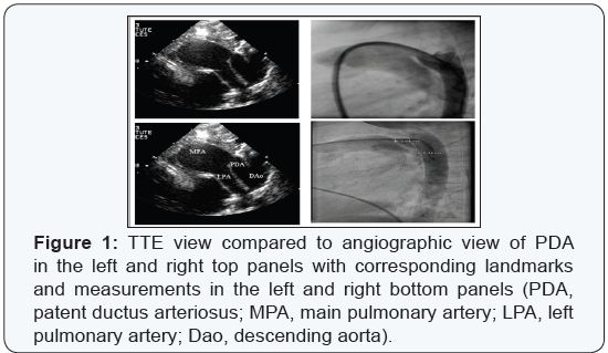 Click here to view Large Figure 1