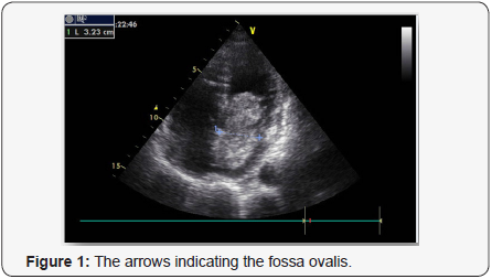 Click here to view Large Figure 1