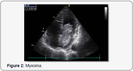 Click here to view Large Figure 2