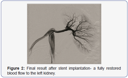 Click here to view Large Figure 2