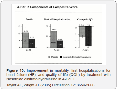 Click here to view Large Figure 10