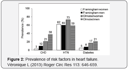 Click here to view Large Figure 2