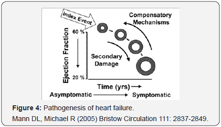 Click here to view Large Figure 4