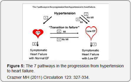 Click here to view Large Figure 5