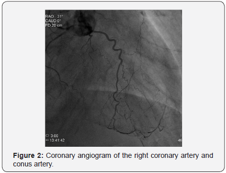 Click here to view Large Figure 2