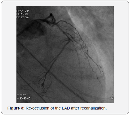 Click here to view Large Figure 3