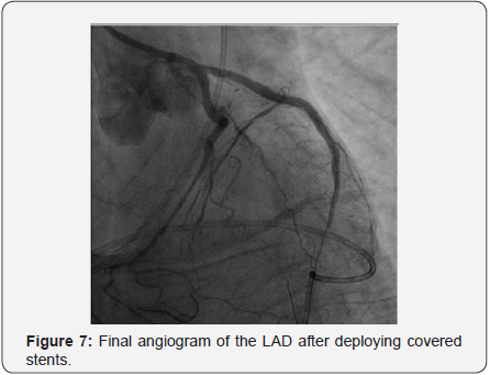 Click here to view Large Figure 6