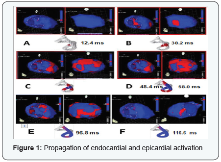Click here to view Large Figure 1