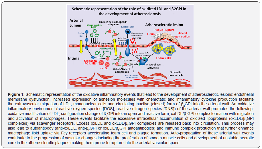 Click here to view Large Figure 1