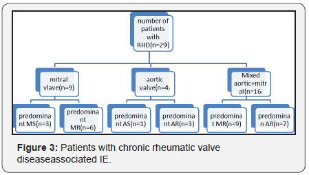 Click here to view Large Figure 3