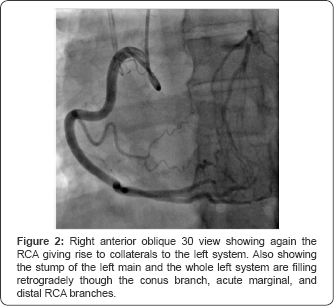 Click here to view Large Figure 2