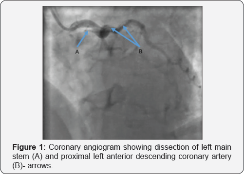 Click here to view Large Figure 1