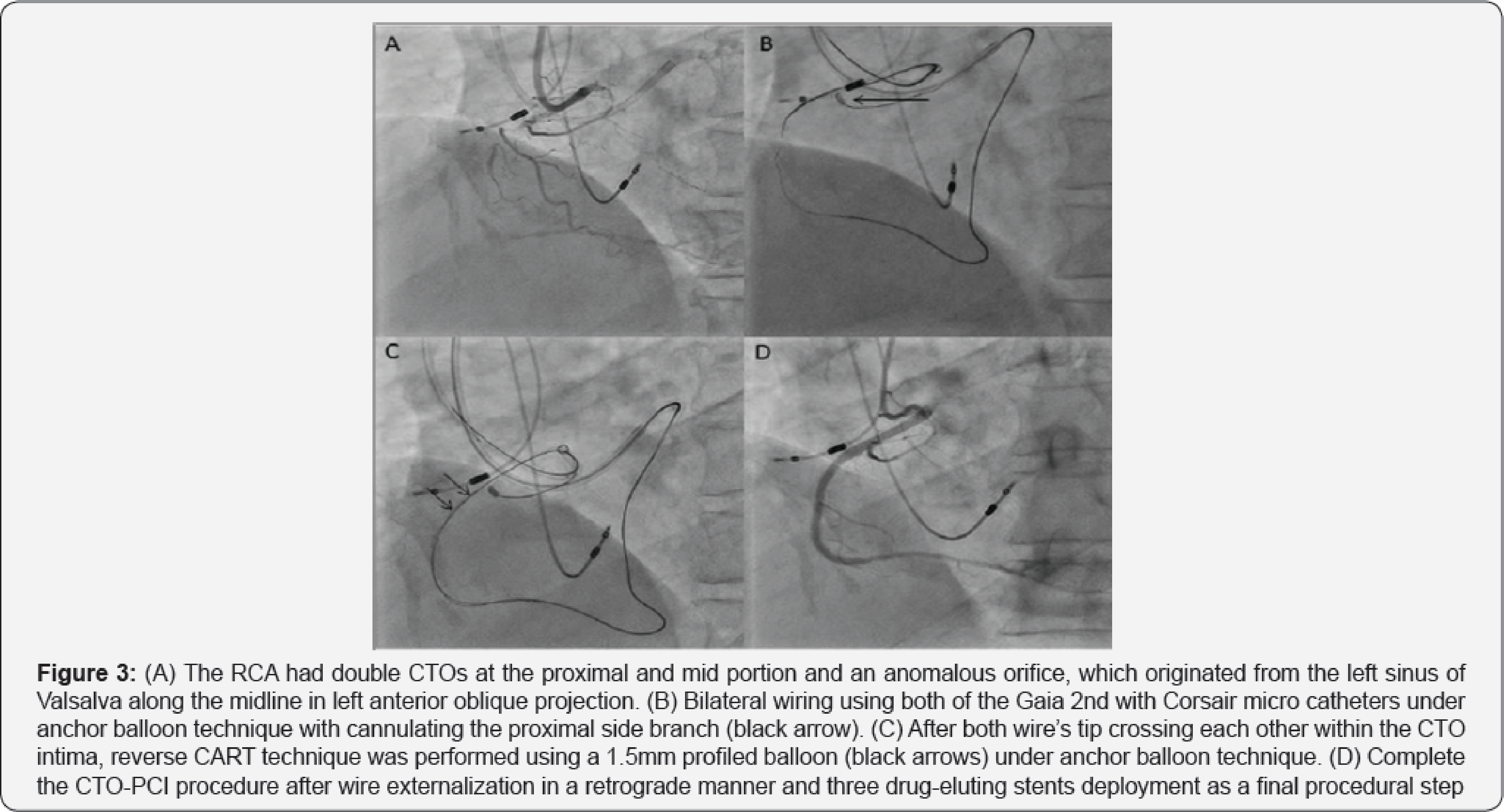 Click here to view Large Figure 3