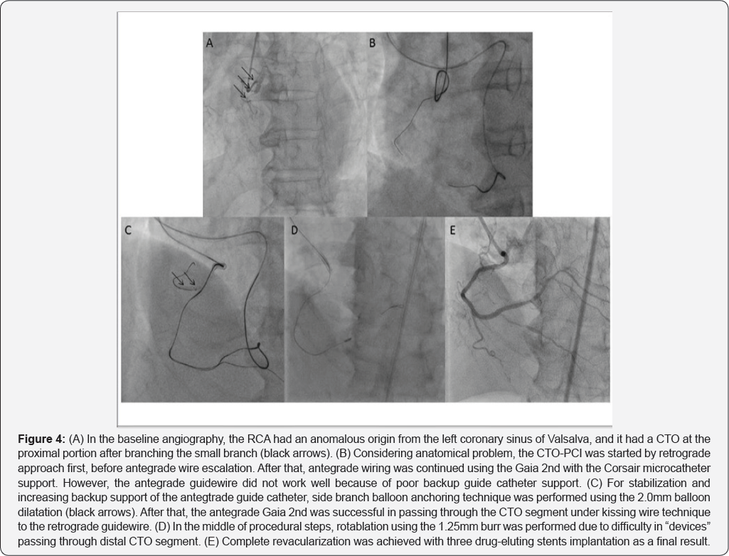 Click here to view Large Figure 4
