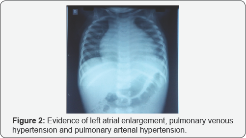 Click here to view Large Figure 2