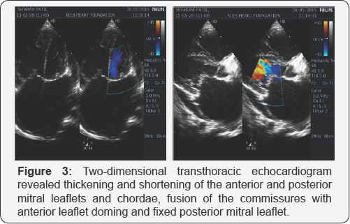 Click here to view Large Figure 3