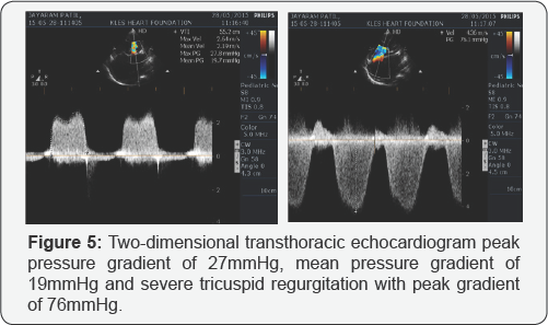 Click here to view Large Figure 5
