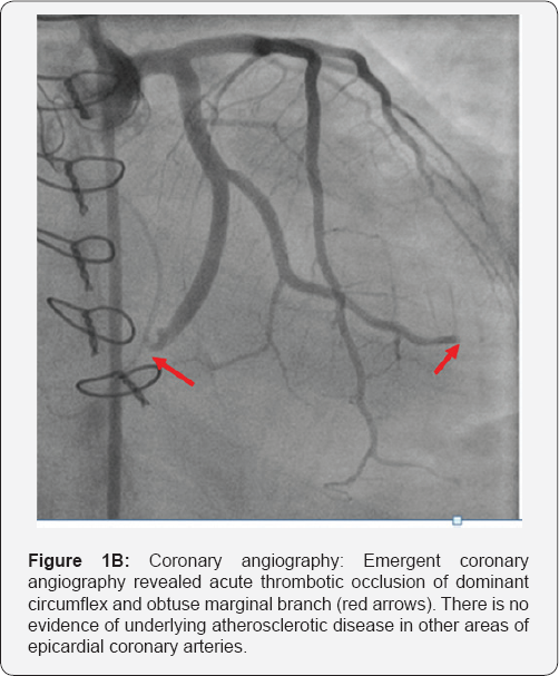 Click here to view Large Figure 1B