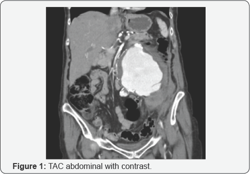 Click here to view Large Figure 1