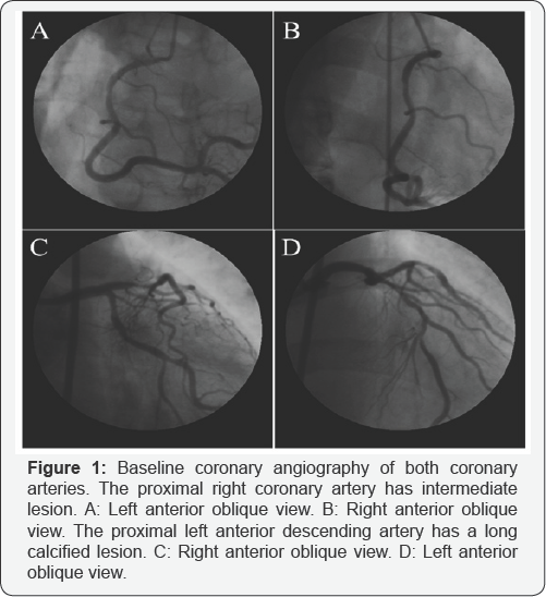 Click here to view Large Figure 1