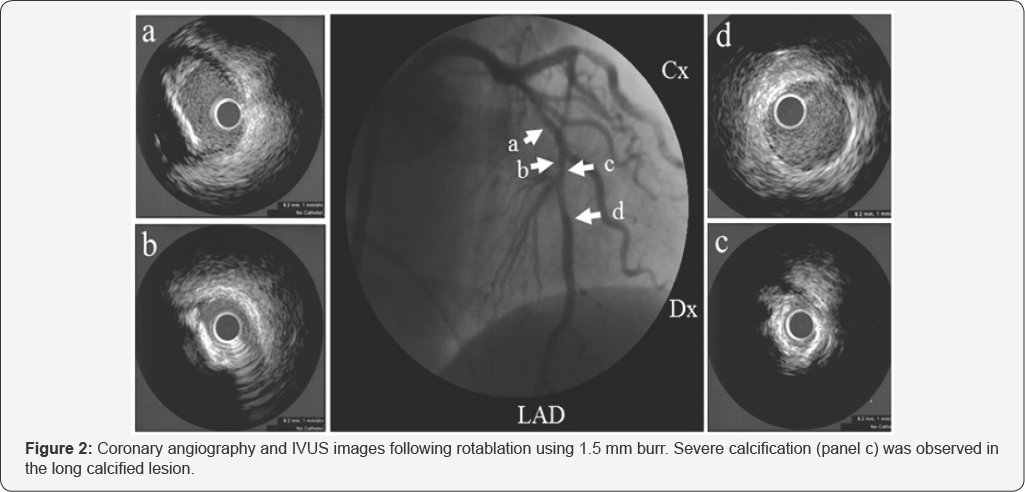 Click here to view Large Figure 1