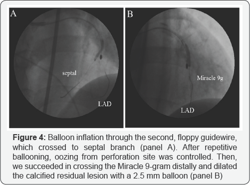 Click here to view Large Figure 1