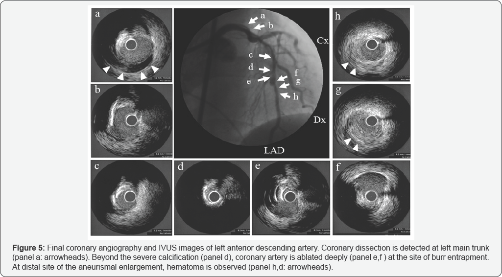 Click here to view Large Figure 1