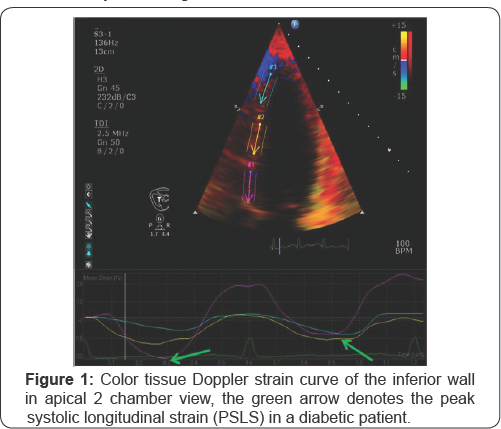 Click here to view Large Figure 1
