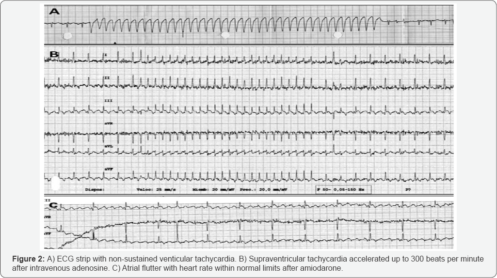 Click here to view Large Figure 1