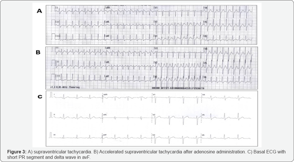 Click here to view Large Figure 1
