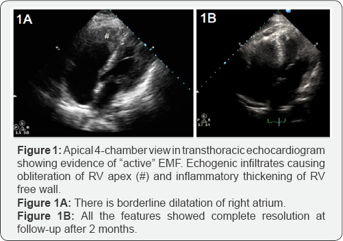 Click here to view Large Figure 1
