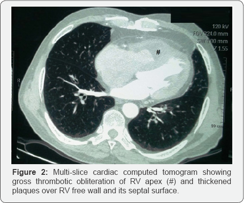 Click here to view Large Figure 1