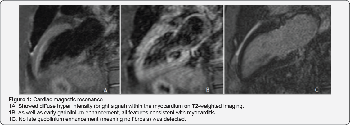 Click here to view Large Figure 1