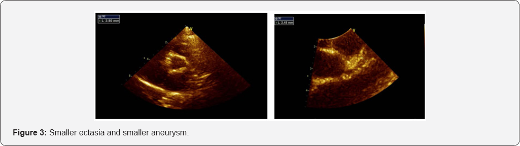 Click here to view Large Figure 3