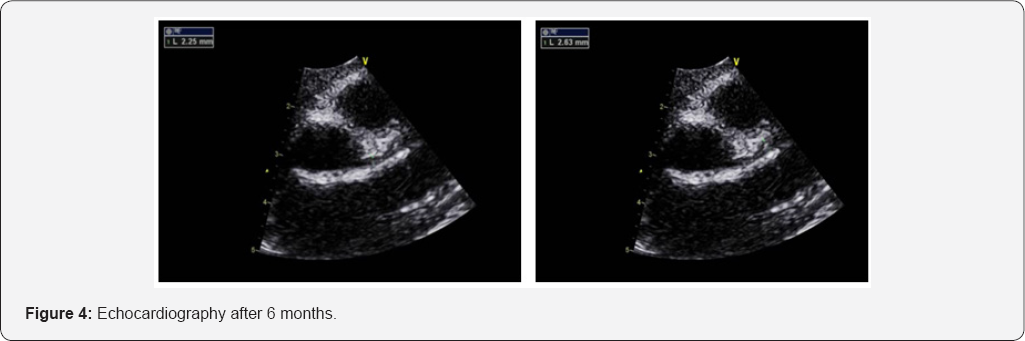 Click here to view Large Figure 4