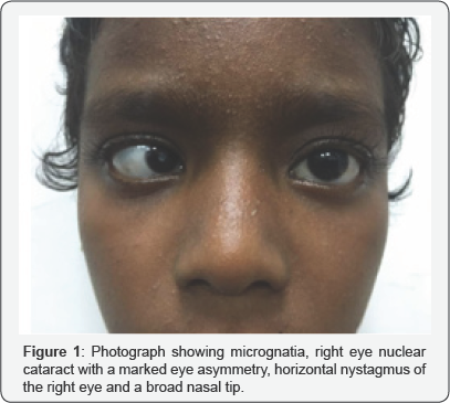 Click here to view Large Figure 1