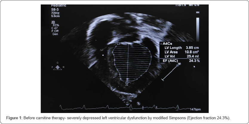 Click here to view Large Figure 1