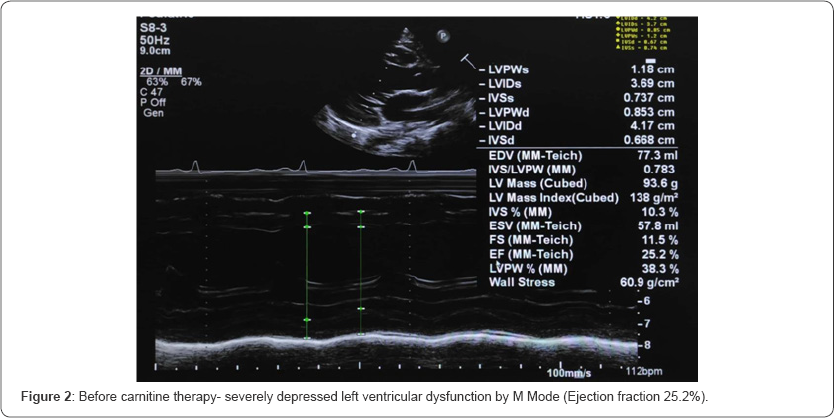 Click here to view Large Figure 2