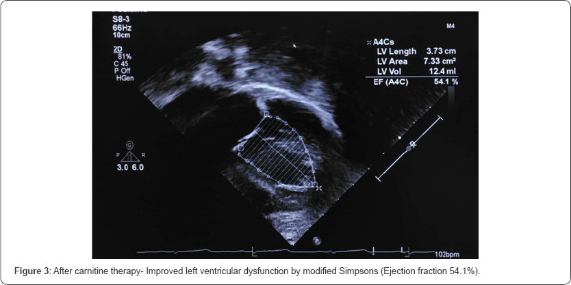 Click here to view Large Figure 3