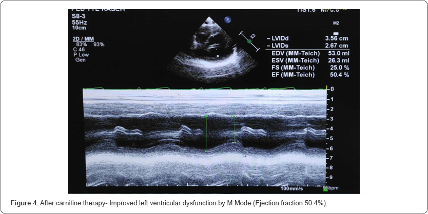 Click here to view Large Figure 4