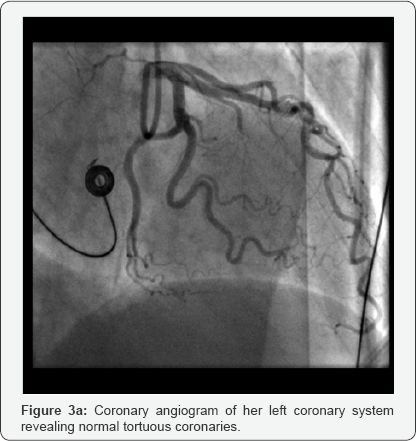 Click here to view Large Figure 3a