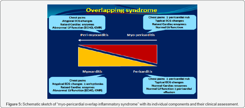 Click here to view Large Figure 5