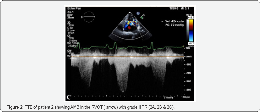 Click here to view Large Figure 2