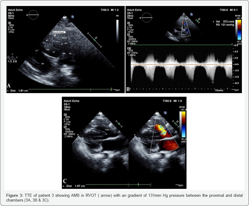 Click here to view Large Figure 3