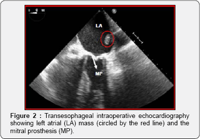 Click here to view Large Figure 2