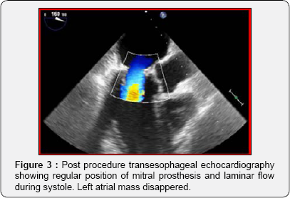 Click here to view Large Figure 3