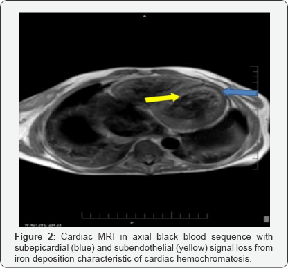 Click here to view Large Figure 2
