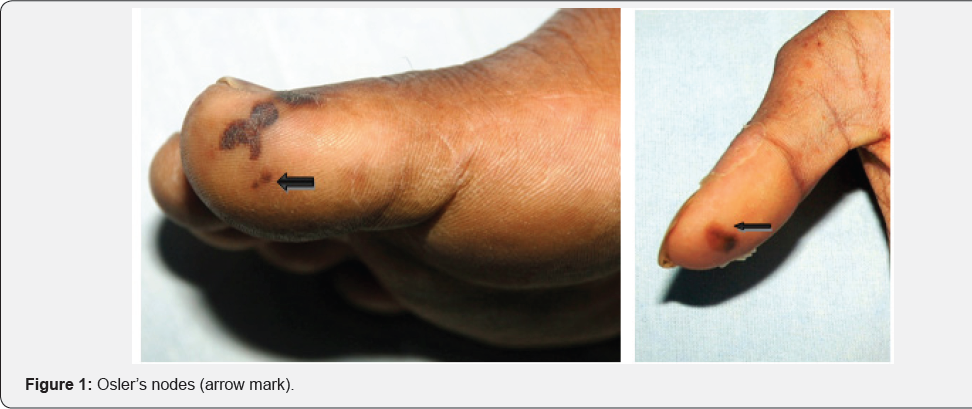 Click here to view Large Figure 1